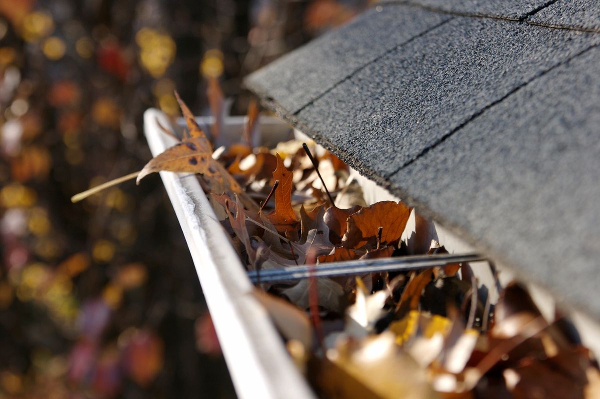 Gutter Cleaning & Whitening
